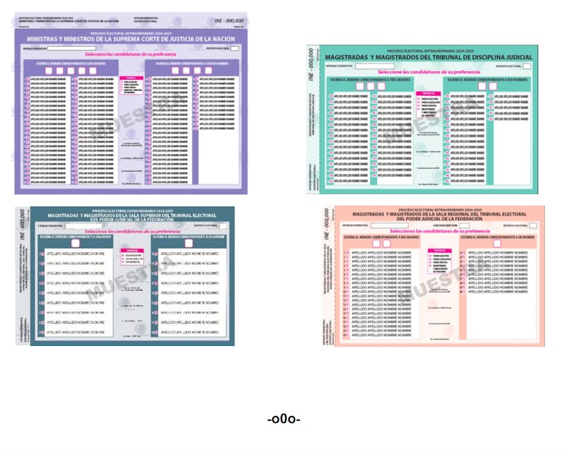 Boletas elección 2025