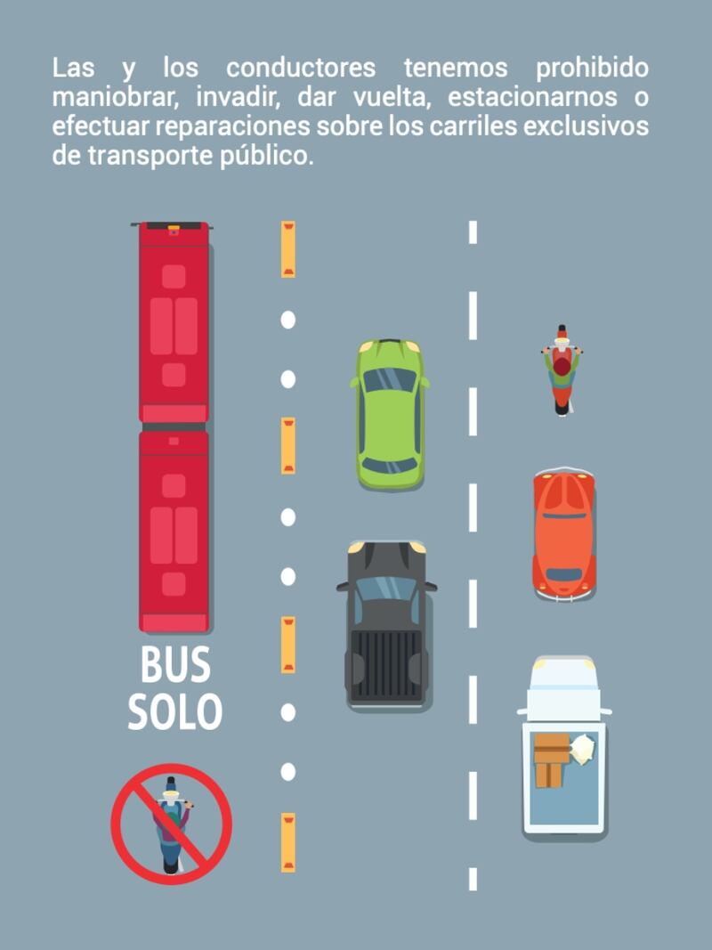 Guía Básica de Movilidad