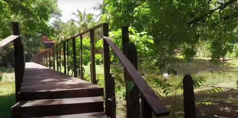 2da toma de un puente en la finca "La Chingada" de AMLO en Chiapas