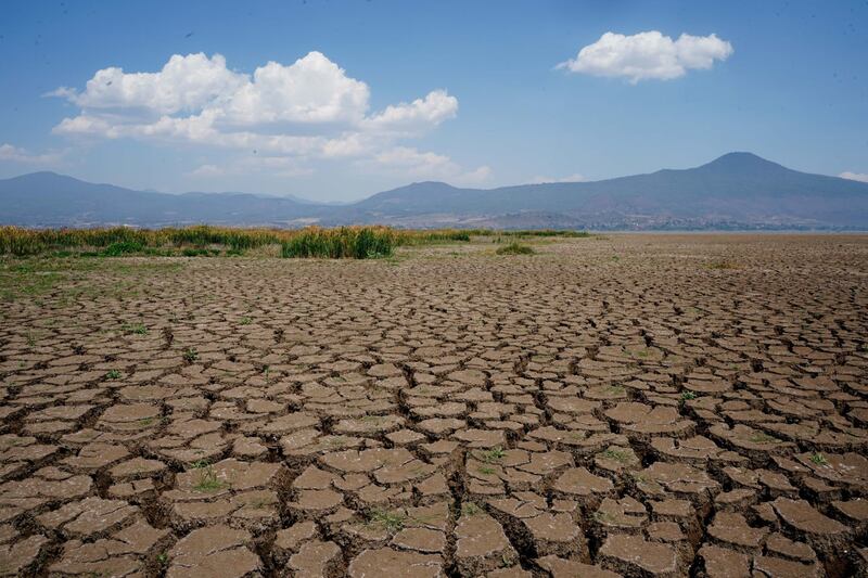 Suelos en crisis