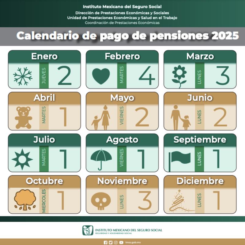 pension imss