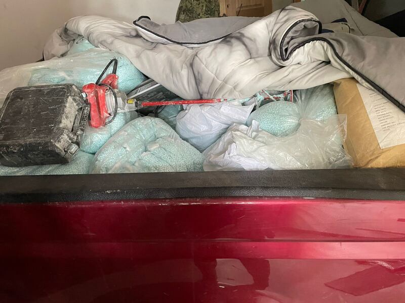 Droga incautada por la SSPC en Sinaloa