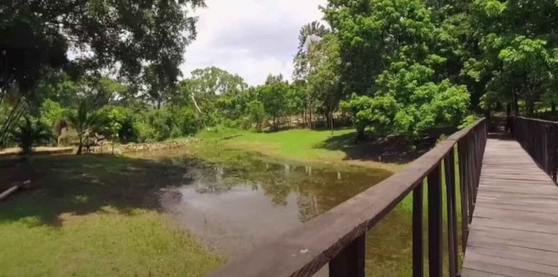 Puente en la finca de AMLO en Chiapas