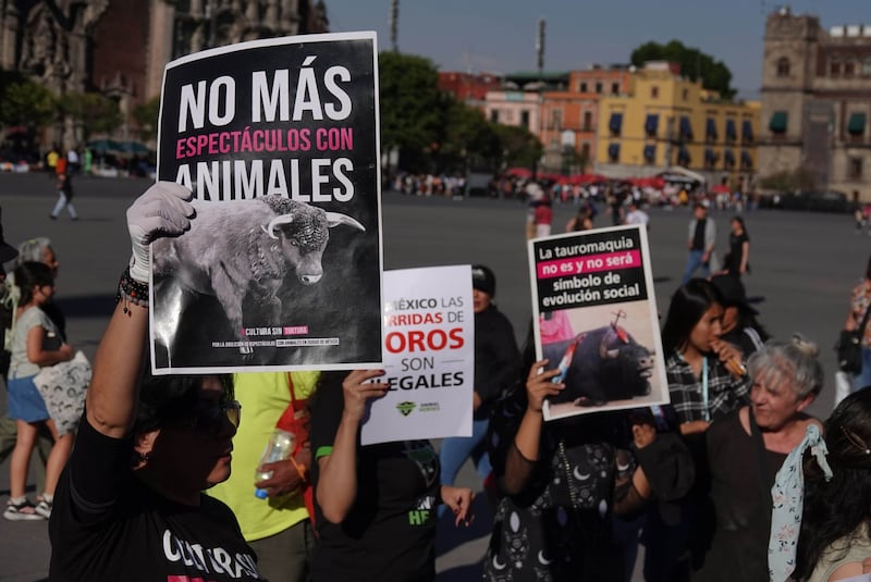 Colectivos en contra de la fiesta taurina